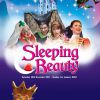 2011 - sleeping beauty 